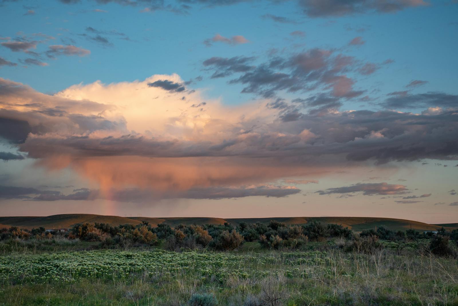 Homes for Sale with Barns or Workshops in Mountain View County